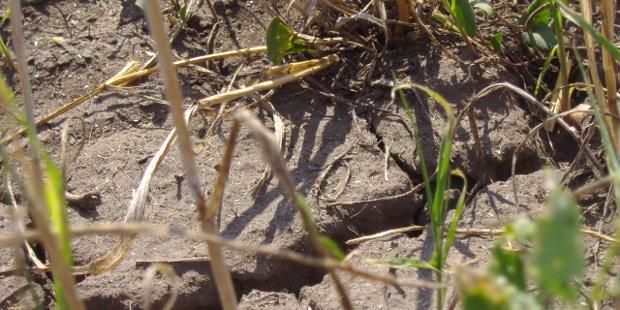 DEZASTRE NATURALE care cer INTERVENŢIE pentru schimbările climatice  313490