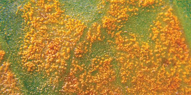 DEZASTRE NATURALE care cer INTERVENŢIE pentru schimbările climatice  313491