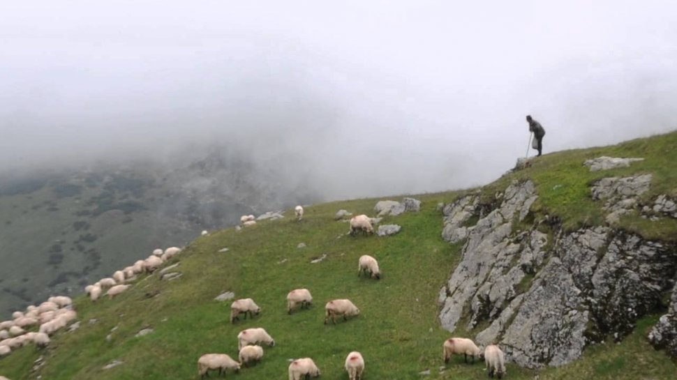 Ciobanii de pe Transalpina s-au reinventat. Vezi ce surprize le-au pregătit turiştilor