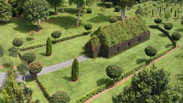 A avut un VIS! Rezultatul este UIMITOR. Orice femeie ar vrea să se mărite aici 315091