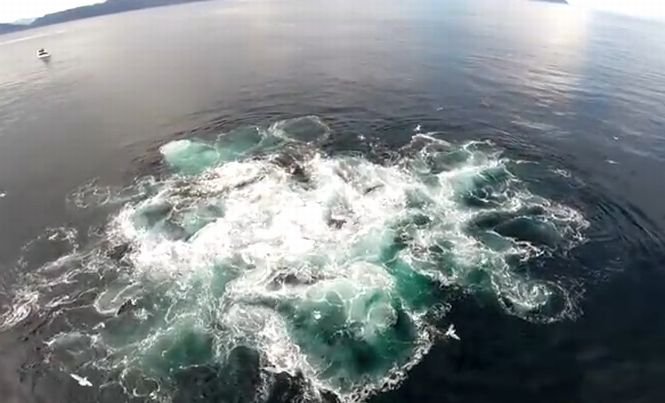 Imagini spectaculoase filmate de o dronă deasupra apelor din Alaska