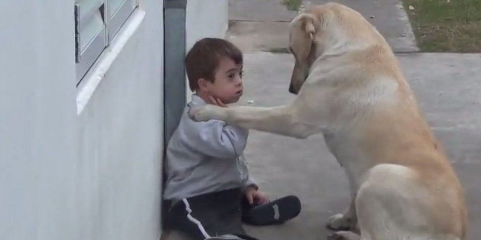 Cum reacţionează un copil cu sindromul Down când vede un câine 