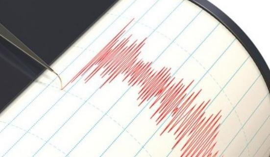 Cutremur în Vrancea. Seismul a avut magnitudinea de 3,9 grade