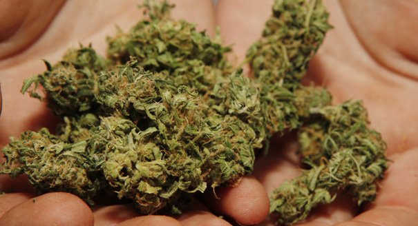 Studiu: Marijuana accelerează vindecarea oaselor rupte