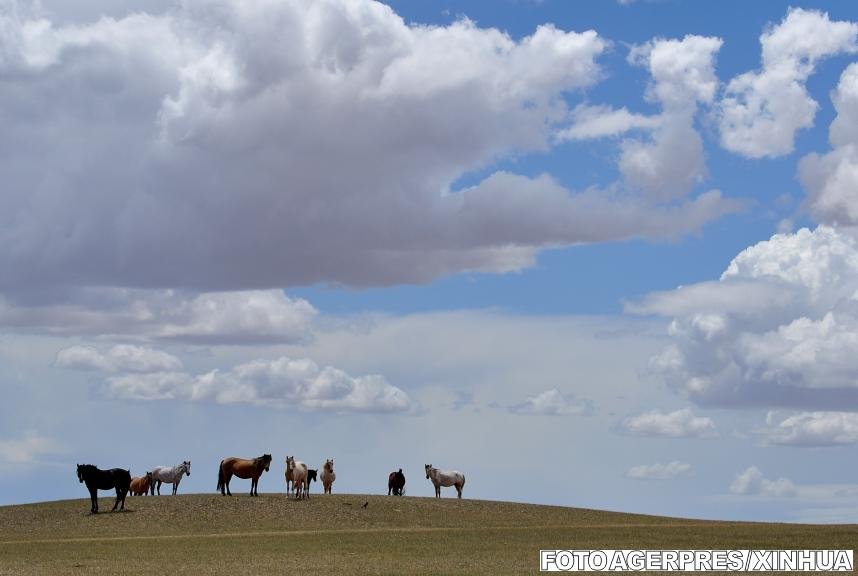 Mongolia poate fi vizitată şi online. Google Street View a parcurs ţara călare pentru a realiza imagini inedite 