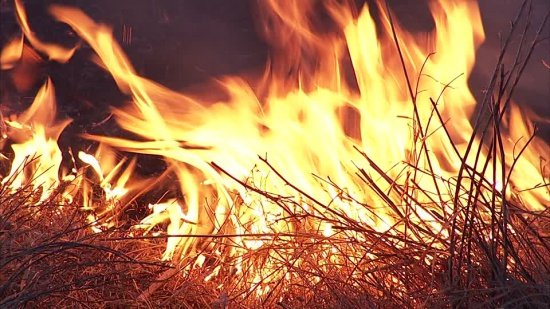 Incendiile de vegetaţie fac prăpăd în mai multe ţări din Europa. Mii de hectare au fost făcute scrum