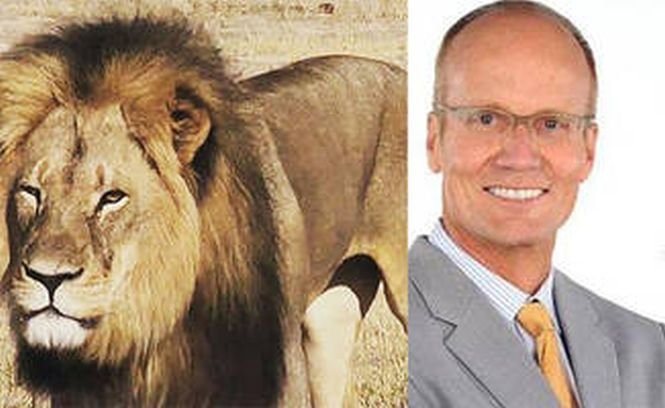 Dentistul care l-a ucis pe leul Cecil, acuzat de hărţuire sexuală de către o angajată