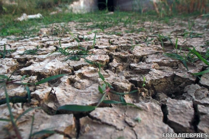 Peste 48.000 de hectare de teren agricol din judeţul Vaslui, afectate de secetă