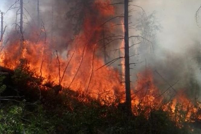 Incendiu devastator în România