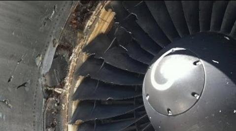 Un avion care zbura spre Bucureşti a aterizat de urgenţă după ce a lovit o pasăre