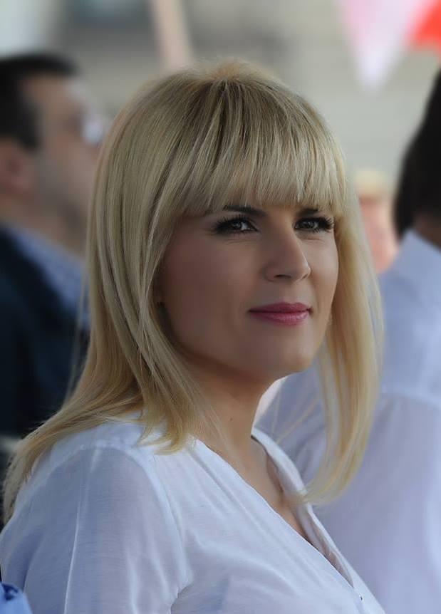 Elena Udrea: Cazul Rarinca, un precedent periculos pentru democraţie 