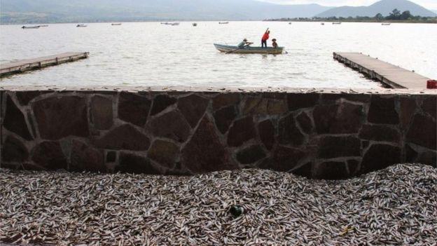 Imaginile care sperie lumea. Ce se întâmplă într-un lac din Mexic 323261