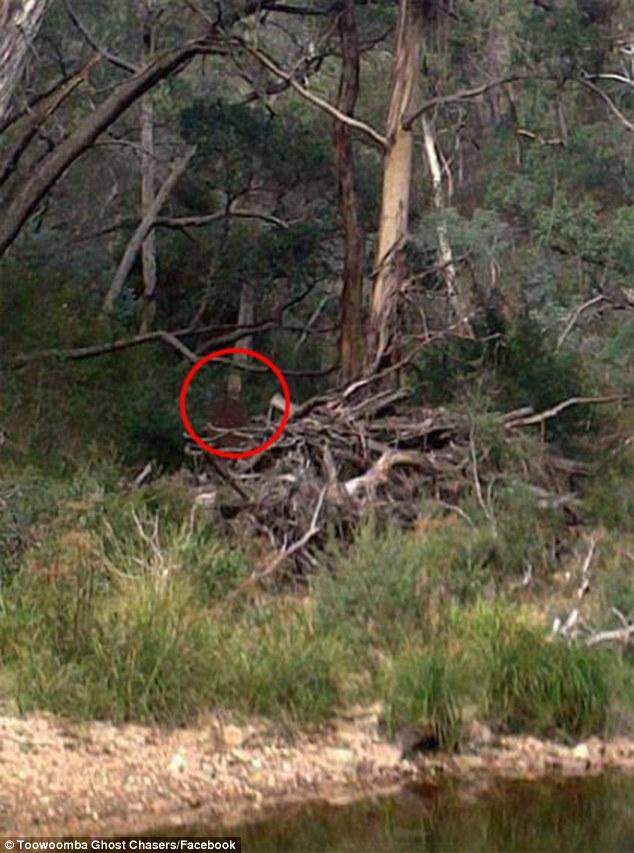 CINE este bărbatul din această fotografie. Cel care a făcut poza a înlemnit de frică 324198