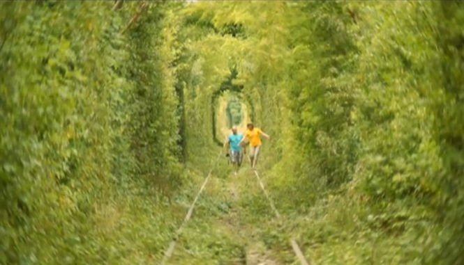Vedere de la ţară. „Tunelul dragostei”, unul dintre cele mai romantice locuri din România