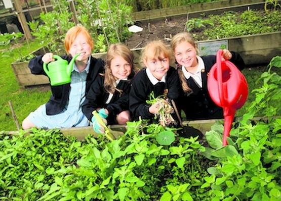INEDIT: Grădini de legume în curtea şcolii. Elevii, implicaţi direct în îngrijirea spaţiilor verzi 