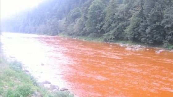 Dezastru ecologic. Râul Bistriţa, poluat cu metale grele. Cum arată apa