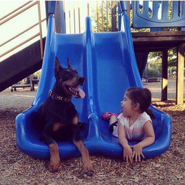 Frumoasa şi bestia, varianta reală. Prietenia care a cucerit internetul 325703