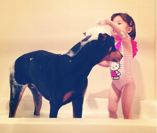 Frumoasa şi bestia, varianta reală. Prietenia care a cucerit internetul 325707