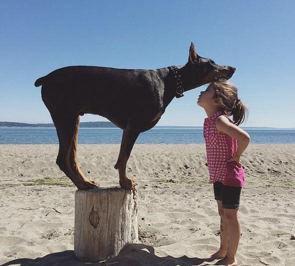 Frumoasa şi bestia, varianta reală. Prietenia care a cucerit internetul 325708