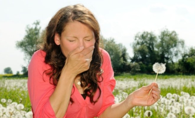 Remedii naturiste impotriva alergiilor de sezon! Incearca-le si tu