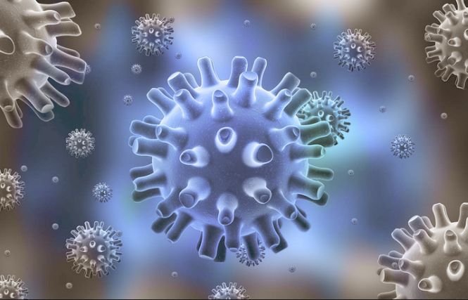 Un nou virus gigantic, care îşi schimbă forma, a fost descoperit în Siberia