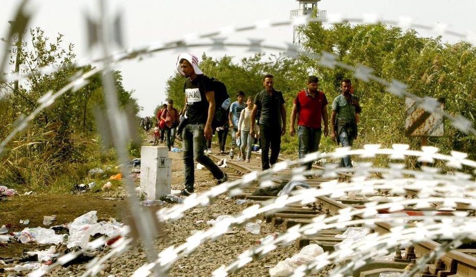 Coaliţia Democrată din Ungaria denunţă planul construirii unui gard la frontiera cu România