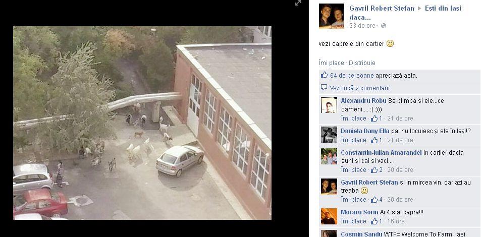 Iată ce a fotografiat un ieşean de la fereastra casei sale. "Sigur vei privi de două ori!" 329086