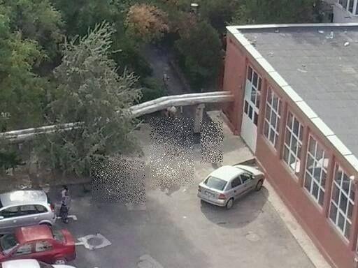 Iată ce a fotografiat un ieşean de la fereastra casei sale. "Sigur vei privi de două ori!" 329088