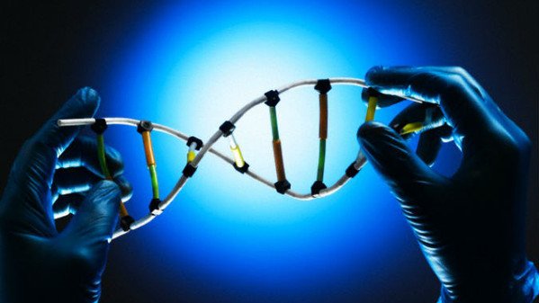 Marea Britanie ar putea permite modificarea genetică a embrionilor umani