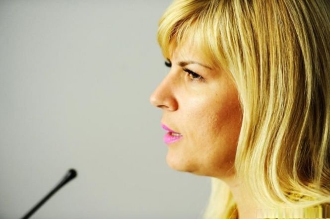 Elena Udrea: Partidele se finanţează cu bani negri