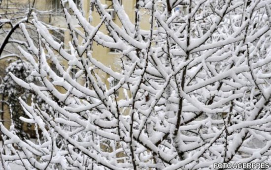 A venit iarna în România. Ninge viscolit şi stratul de zăpadă are deja câţiva centimetri