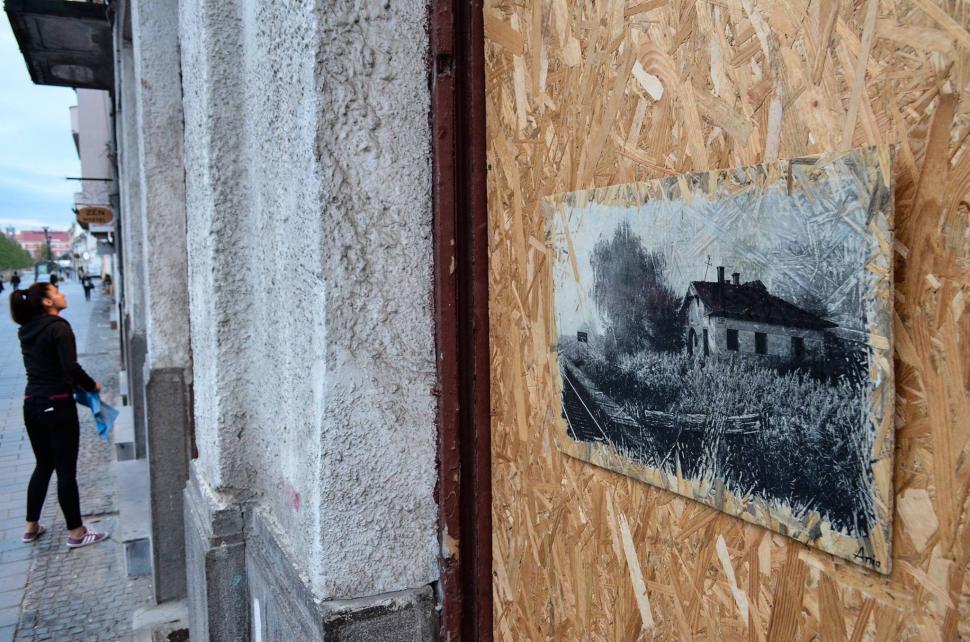 Experimentul artistic al unei tinere din Cluj face senzație pe internet 332840