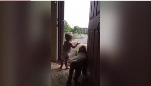 Cum reacționează un bebeluș când își vede tăticul venind acasă VIDEO