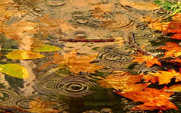 Veşti proaste de la meteorologi 334225