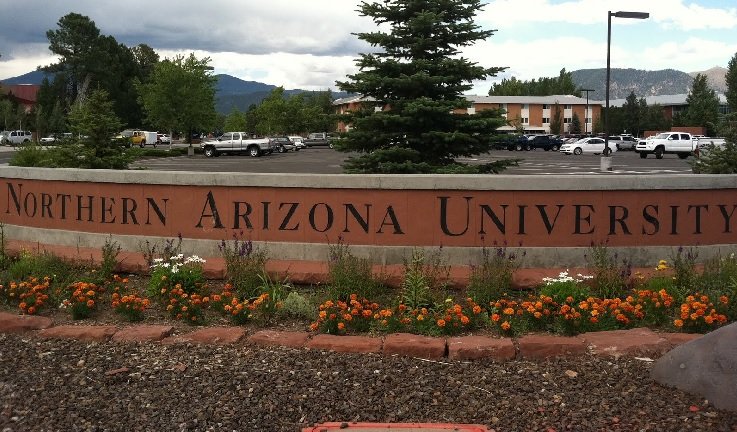 Atac armat la o universitate din Arizona. O persoană a fost ucisă