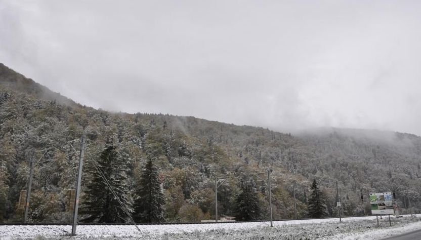 VIDEO. Primele imagini cu ninsoarea din Suceava