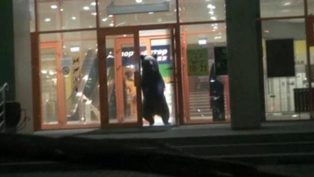 Panică într-un oraş Rusia, după ce un urs brun a intrat într-un mall - VIDEO