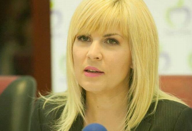 Elena Udrea, declaraţii pe Facebook despre dosarul Gala Bute 