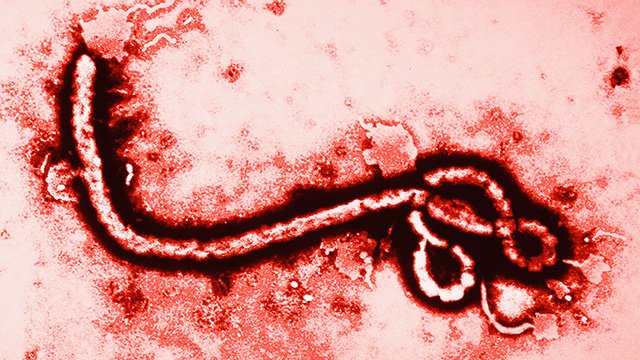 Se întâmplă ceva bizar cu bolnavii de Ebola şi doctorii nu au niciun răspuns