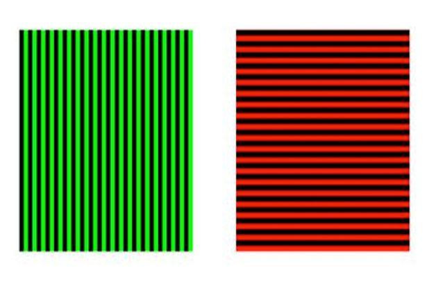 Toţi au fost păcăliţiI! Tu crezi că te descurci mai bine? Iluzia asta te va surprinde 336870