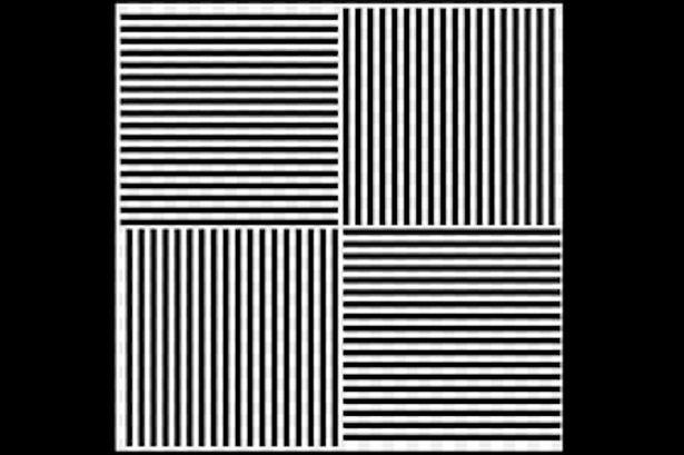 Toţi au fost păcăliţiI! Tu crezi că te descurci mai bine? Iluzia asta te va surprinde 336872