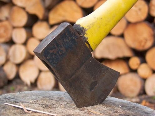 O tânără de 20 de ani a cucerit Internetul: A spart o remorcă de lemne pentru mama ei!