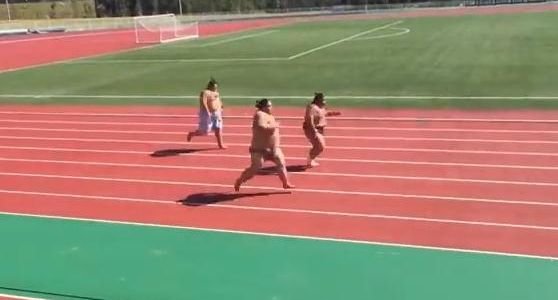 Cum arată o cursă de viteză între trei luptători de sumo