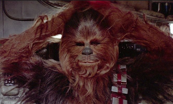 Chewbacca, arestat pentru că i-a făcut campanie electorală lui Darth Vader în ziua alegerilor