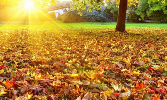 Temperaturi mai ridicate decât cele obişnuite pentru noiembrie. Prognoza meteo