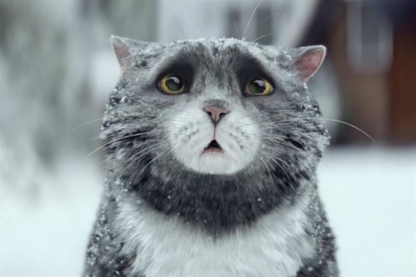 O pisică transformă Crăciunul într-o catastrofă. Vezi cea mai frumoasă reclamă de sărbători - VIDEO