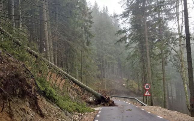 Cea mai frumoasă şosea din Moldova a fost distrusă de o furtună