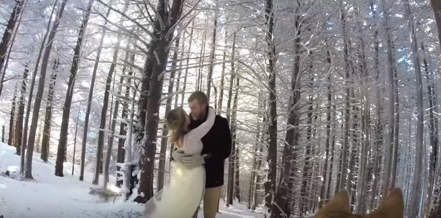Un cuplu și-a angajat câinele să le filmeze nunta. VIDEO