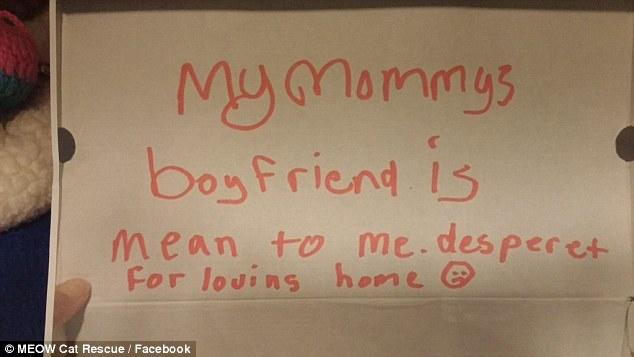 Povestea care a impresionat SUA. A găsit un pui de pisică abandonat într-o cutie și un bilet scris de un copil 345218