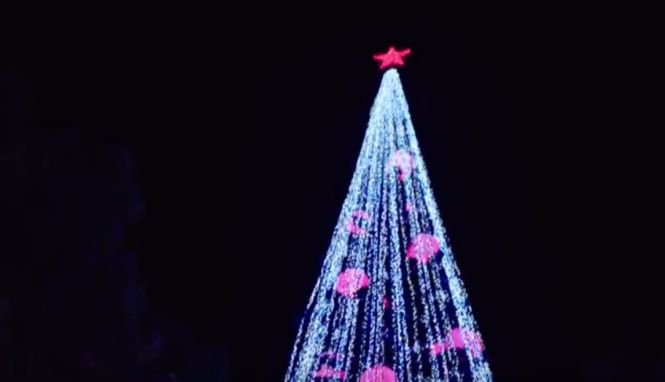 Bradul de Cartea Recordurilor. Cum arată cel mai luminat pom de Crăciun din lume